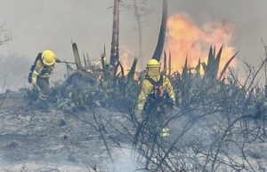 Más 22 mil hectáreas quemadas por incendios forestales en Ecuador